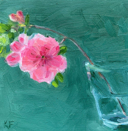 Pink Azalea