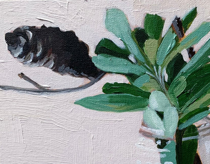 Banksia No.3