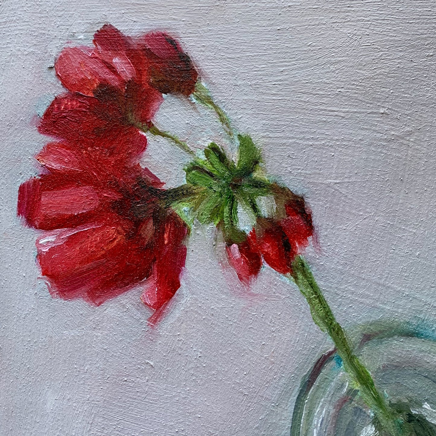 Geranium in a Glass