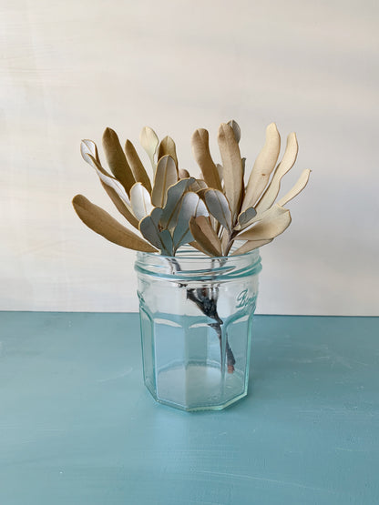 Winter Banksia