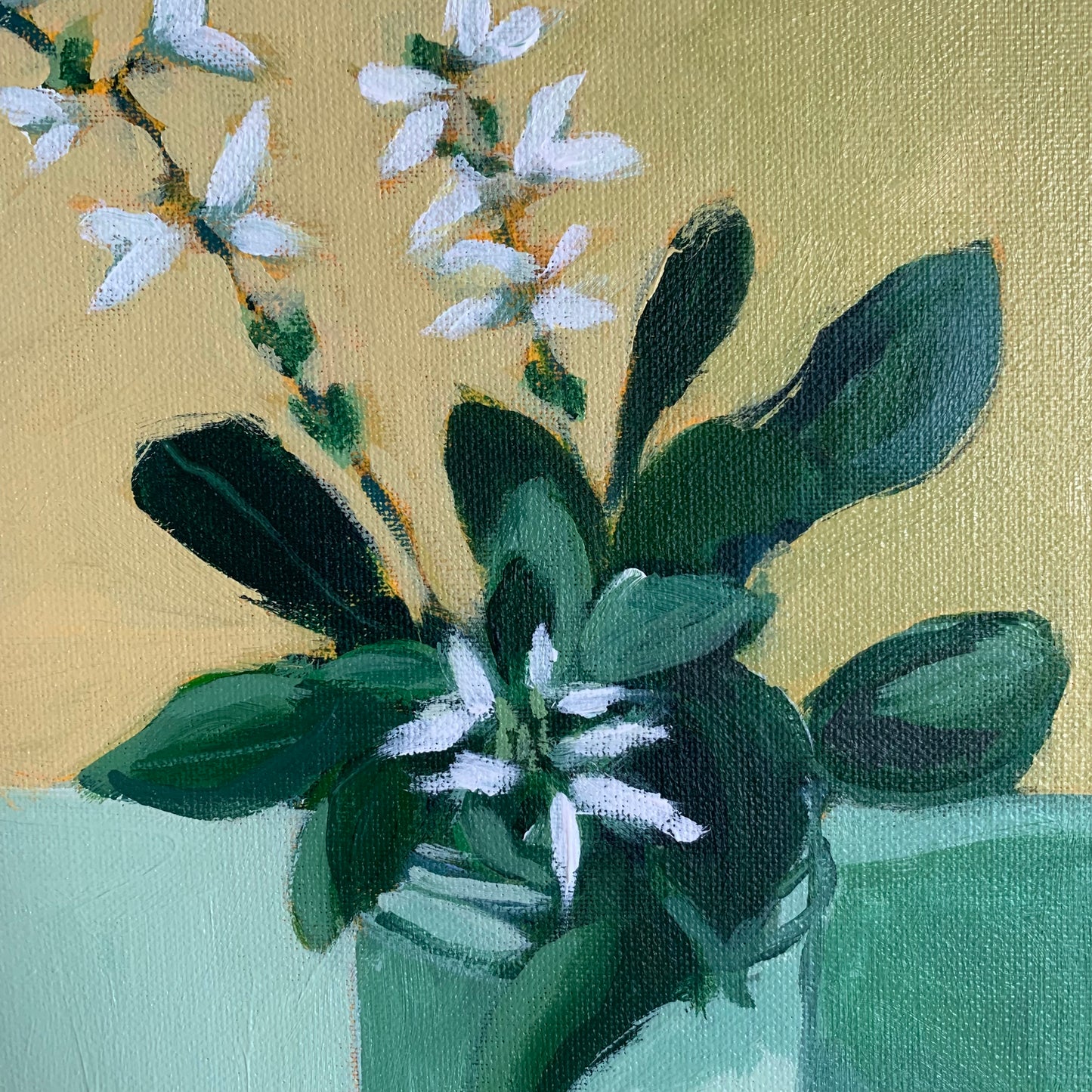 Basil