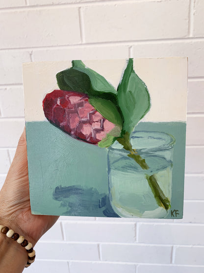 Protea in a Glass