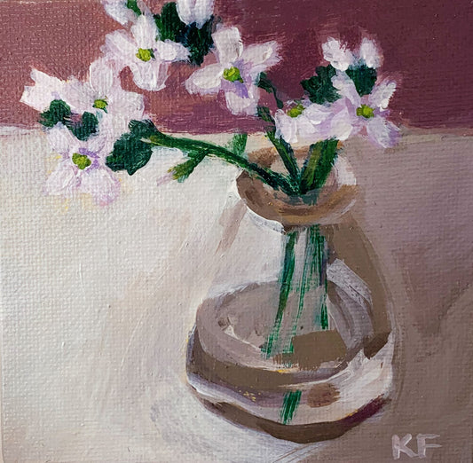 Sea Rocket
