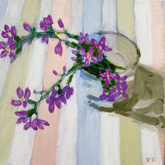 Sea Rocket and Stripes