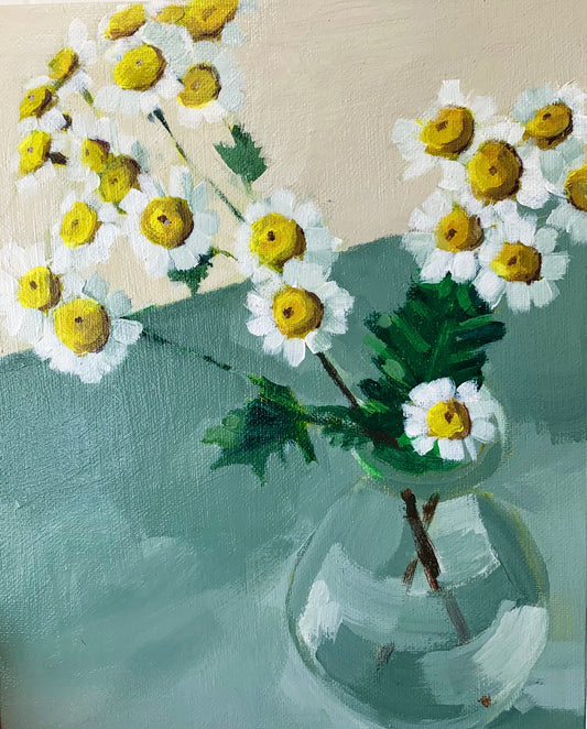Wild Chamomile